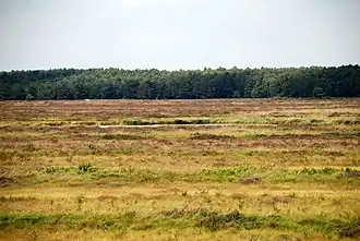 Kaltenweide – Veduta