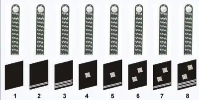 1=NSKK-Anwärter 1=NSKK-Sturmmann 2= NSKK-Obersturmmann3=NSKK-Rottenführer 4=NSKK-Scharführer 5=NSKK-Oberscharführer 6=NSKK-Truppfüher 7=NSKK-Obertruppfüher 8=NSKK-Haupttruppführer.