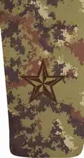 Stelletta ricamata sul nuovo modello di mimetica vegetata