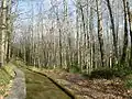 Sentieri del Parco