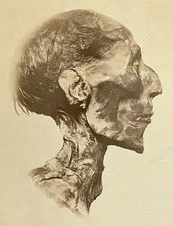 Profilo della mummia di Ramses II, in una fotografia del 1889.