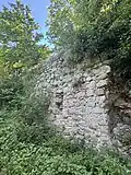 Resti delle mura del Castello di Rocca Pendice