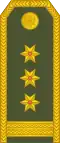 Pukovnik (Montenegro)