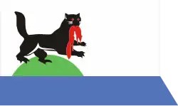 Irkutsk – Bandiera