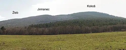Monte Cocusso (versante settentrionale)