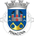 Penacova – Stemma