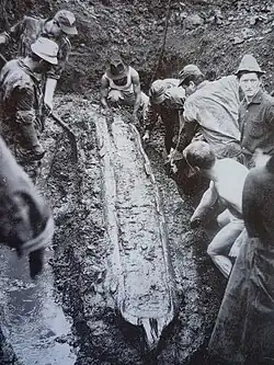 Domenica 22 agosto 1965, la piroga di 4000 anni fa