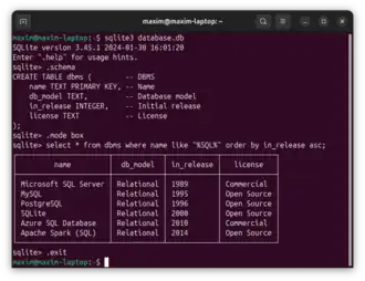 Schermata di esempio