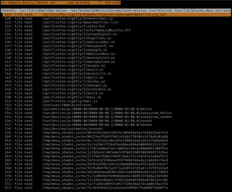 Schermata di esempio