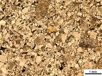 Sezione di arenaria vista a un solo polarizzatore