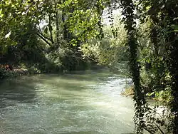 Il fiume presso Santa Cristina di Quinto di Treviso.