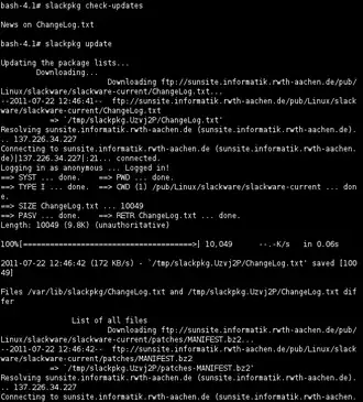 Schermata di esempio