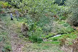 Sorgente della Vienne a Saint-Setiers