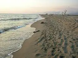 Spiaggia sabbiosa in Versilia.