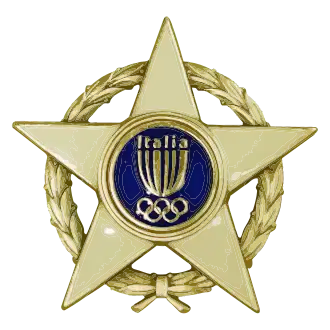 Stella d'oro al merito Sportivo - nastrino per uniforme ordinaria