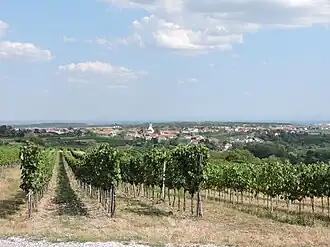 Stratzing – Veduta