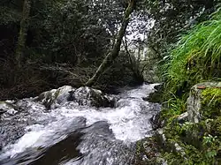 Tratto del rio "Sos Molinos".