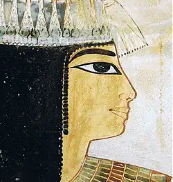 Il profilo di Tawi da TT52