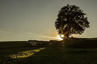 Veduta al tramonto delle rovine dell'ingresso monumentale est alla città etrusca
