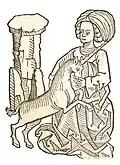 Libro II, capitolo 155. Unicornus – Unicorno