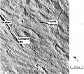 Questa immagine di un fianco del vulcano estinto Alba Mons mostra diversi canali. Alcuni di essi sono stati attribuiti a flussi di lava mentre altri sono stati probabilmente scavati dallo scorrere dell'acqua. L'immagine è parte della mappa chiamata maglia Arcadia.