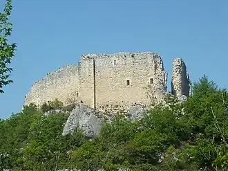 Ruderi di Castel Menardo