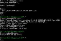 Free Pascal eseguito tramite riga di comando