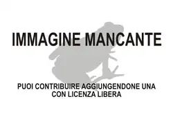 Immagine di Stumpffia pygmaea mancante
