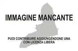 Immagine di Afronycteris mancante