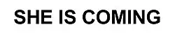 Logo del disco She Is Coming