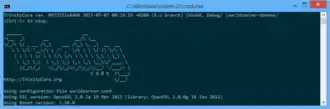 Schermata di avvio della console di TrinityCore, branch 6.x