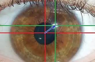 Luce visibile: centro dell'iride (rosso), riflesso corneale (verde) e vettore di uscita (blu).