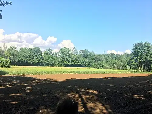 valle ombrosa del Cormor