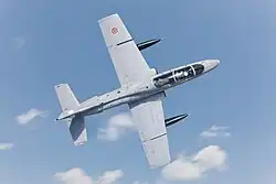 Zona dorsale di un MB-339A (aeromodello in scala) con mitragliatori